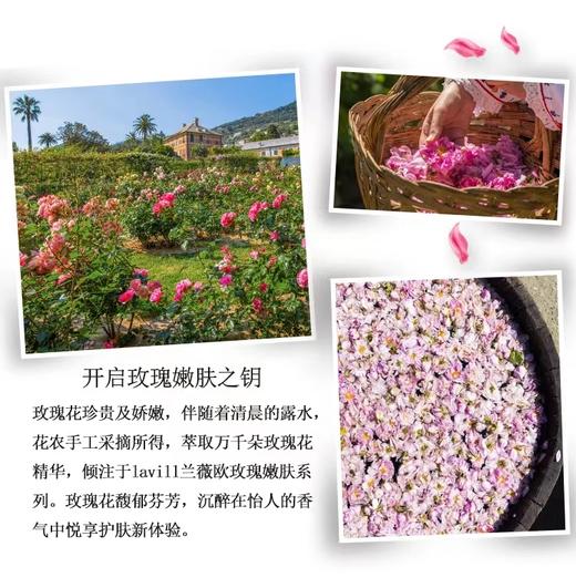 兰薇欧玫瑰柔肤水 商品图3