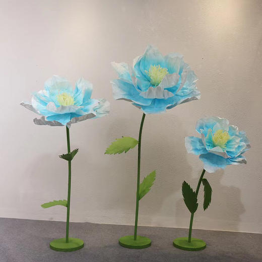 蔷薇（运费自理） 商品图7