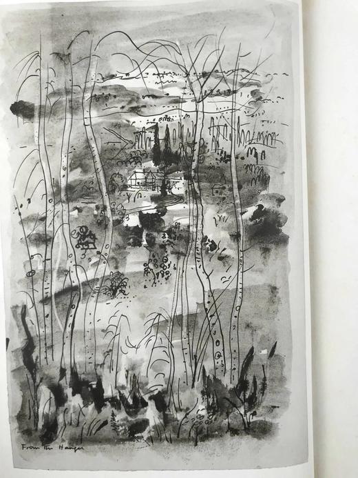 怀特《塞耳彭自然史》（1962，书匣破损） 12幅插图 精装16开带书匣 商品图3