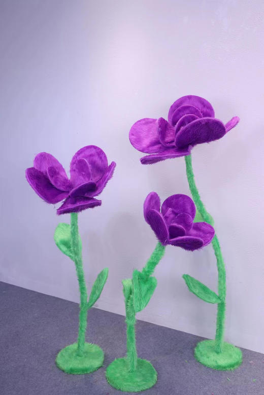 毛绒多肉（运费自理） 商品图5