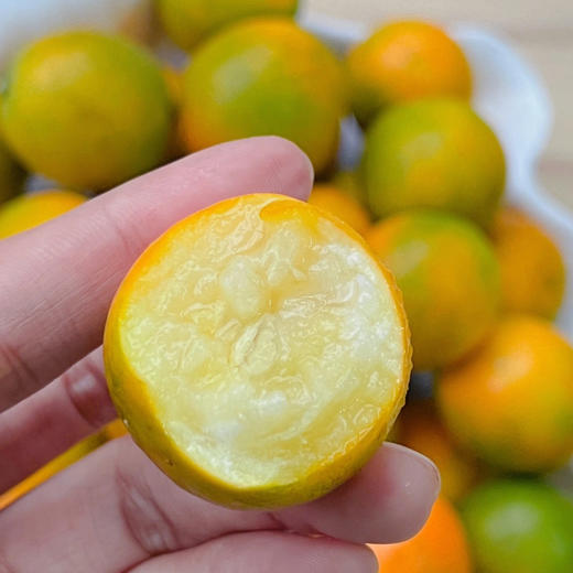 国家地理标识产品，融安金桔，金桔界天花板 来自广西融安核心产区 | 不酸麻、不苦涩 ，脆甜水嫩 只采摘甜度大于20度的精品大果 商品图5