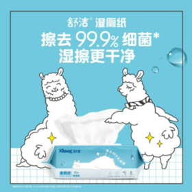 【年货节】舒洁（Kleenex）湿厕纸家庭装80片*6包（480片）清洁湿纸巾湿巾 擦走细菌