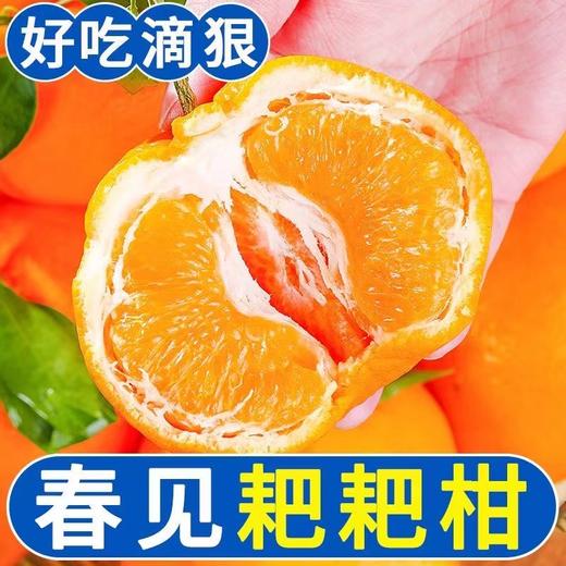 【严选】四川春见耙耙柑带箱10斤（厂家直发） 商品图1
