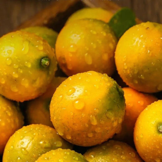 国家地理标识产品，融安金桔，金桔界天花板 来自广西融安核心产区 | 不酸麻、不苦涩 ，脆甜水嫩 只采摘甜度大于20度的精品大果 商品图1