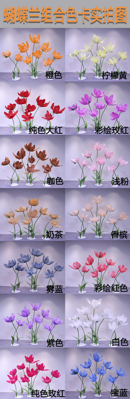 蝴蝶兰组合（运费自理） 商品图1