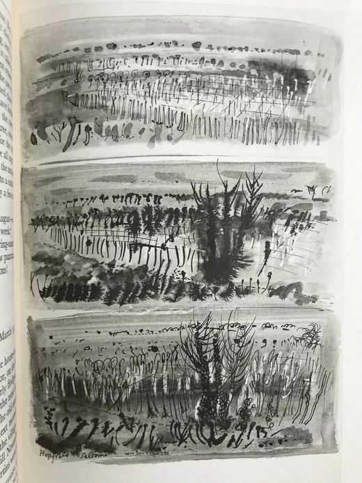 怀特《塞耳彭自然史》（1962，书匣破损） 12幅插图 精装16开带书匣 商品图14