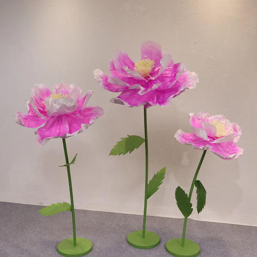 蔷薇（运费自理） 商品图5