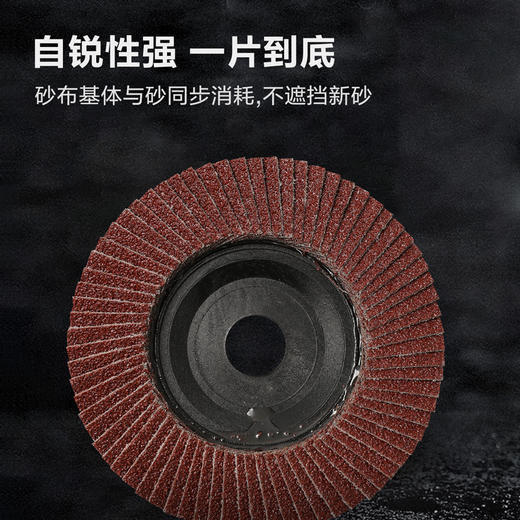 得力百叶片 塑盖红砂/网盖煅烧 商品图4