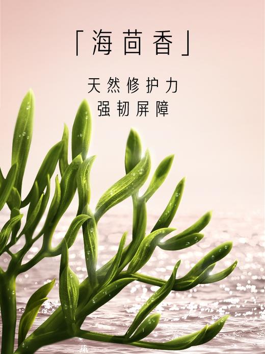 玉兰油塑颜臻萃奢护眼霜 商品图4