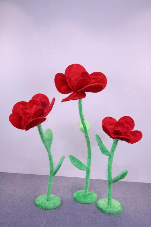 毛绒多肉（运费自理） 商品图10