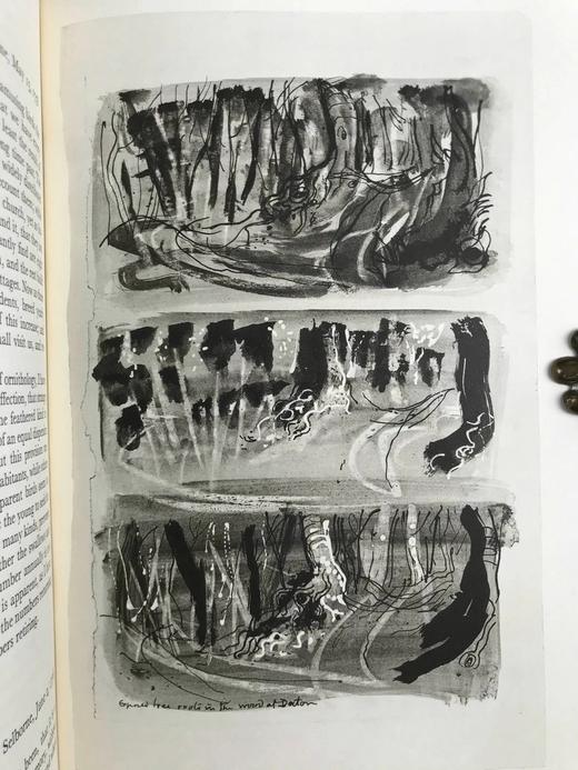 怀特《塞耳彭自然史》（1962，书匣破损） 12幅插图 精装16开带书匣 商品图10