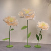 蔷薇（运费自理） 商品缩略图1
