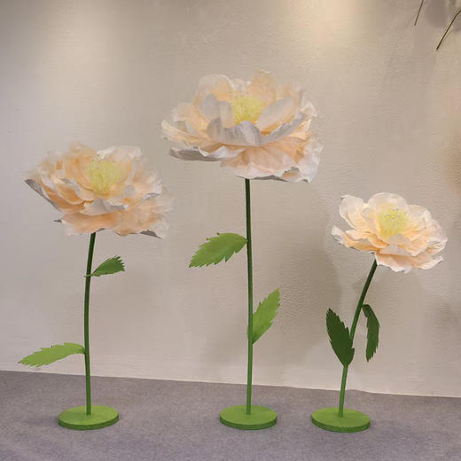 蔷薇（运费自理） 商品图1