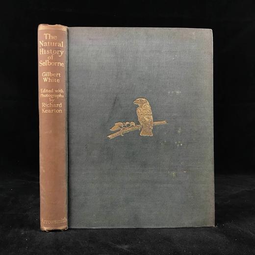 含藏书票！1924年 塞耳彭自然史 约百幅插图 漆布精装16开 商品图0