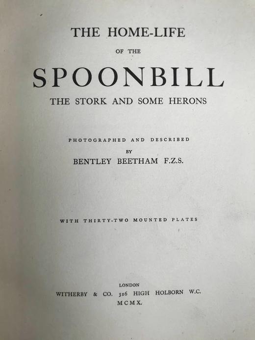 含藏书票！1910年 琵鹭的巢中生活 32幅手工贴图 漆布精装16开 商品图3