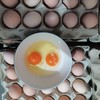 【批发】60枚装柴鸡蛋 商品缩略图1