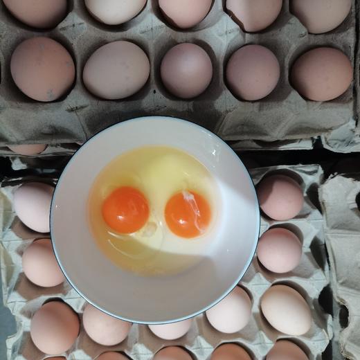 【批发】60枚装柴鸡蛋 商品图1