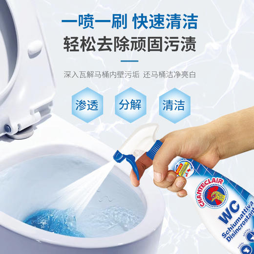 【大公鸡马桶清洁剂】 Chante Clair/大公鸡管家 意大利原装进口马桶清洁剂 625ml 商品图0