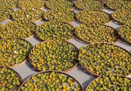 陈皮（大红皮）9年自然陈化 / 国际机构检554项零农残 /自然农法 酵素种植 商品图2