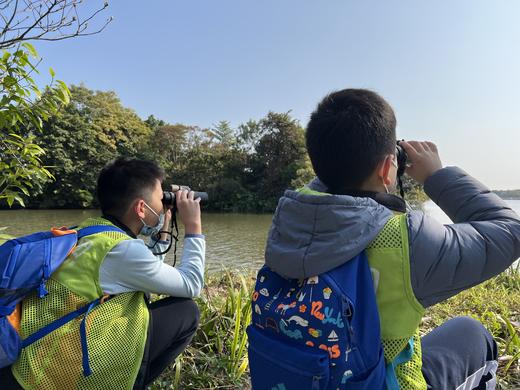 半日营【海珠湖观鸟】跟着自然导师寻迹飞羽精灵，增长自然知识 商品图2
