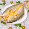 三都港速冻黄花鱼500g± 商品缩略图2