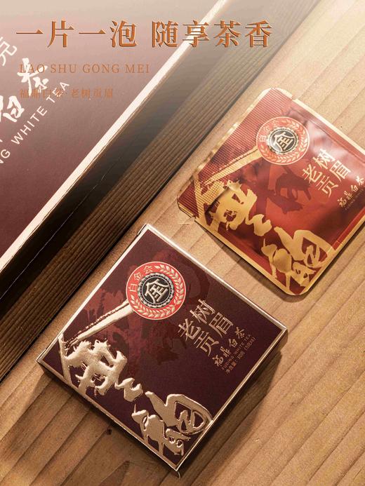 金之韵老树贡眉：240克/提，福鼎白茶，原料年份2015年，紧压贡眉 商品图5