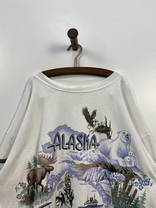 90年代 Vintage Lifestyle 卫衣 _SLSS(XL) 商品图0