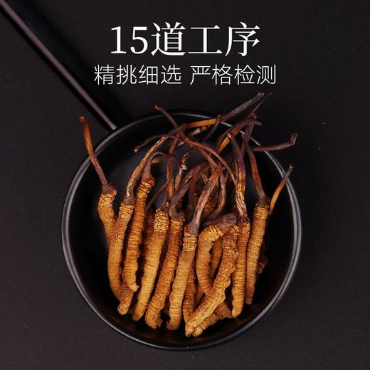 同仁堂冬虫夏草7g 商品图3