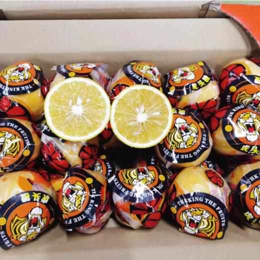 虎头橙一箱（拼团） 商品图4