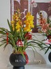 耀目惠兰 · 年宵盆栽（含花瓶） 商品缩略图3