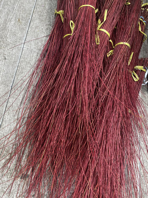 【长长久久】进口红瑞木  红柳枝   多规格（超长待机） 商品图8