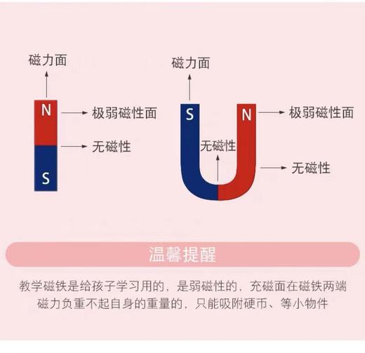 小卡尼学生磁铁套装CY-5501科普实验工具益智助学趣味学习套装 商品图5