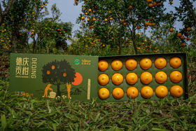  阅读量126万+ | 这个会弹钢琴的女孩，选择回村种果树 