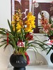 耀目惠兰 · 年宵盆栽（含花瓶） 商品缩略图2