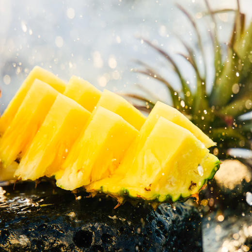 海南金钻凤梨🍍【树上自然熟】 商品图5