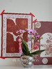 蝴蝶兰-精品宝贝  银色葫芦瓶 商品缩略图3