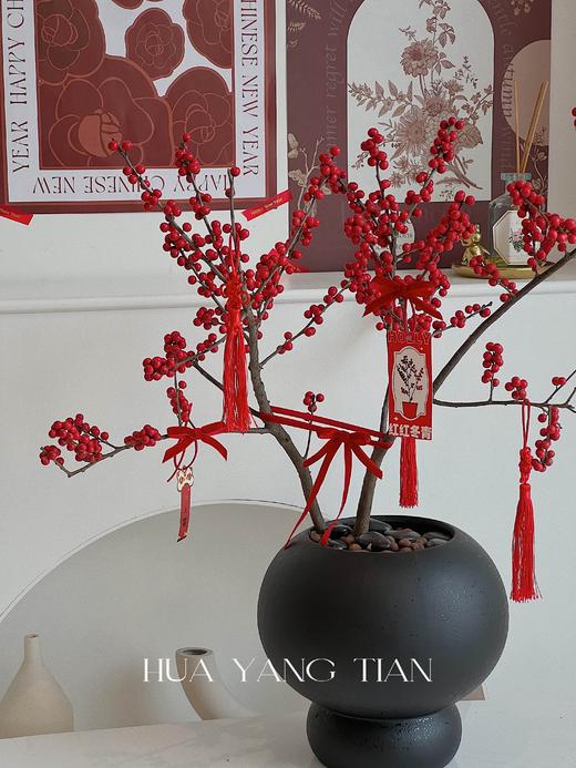 新年冬青盆栽（含花盆） 商品图3