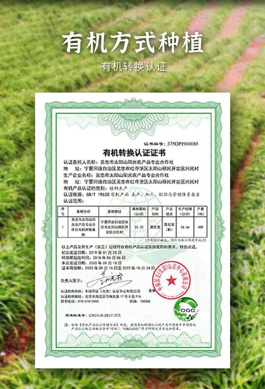 悦意干黄花菜200克/袋 生态种植 自然日晒 无硫熏 商品图2