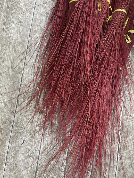 【长长久久】进口红瑞木  红柳枝   多规格（超长待机） 商品图7