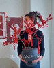 新年冬青盆栽（含花盆） 商品缩略图7