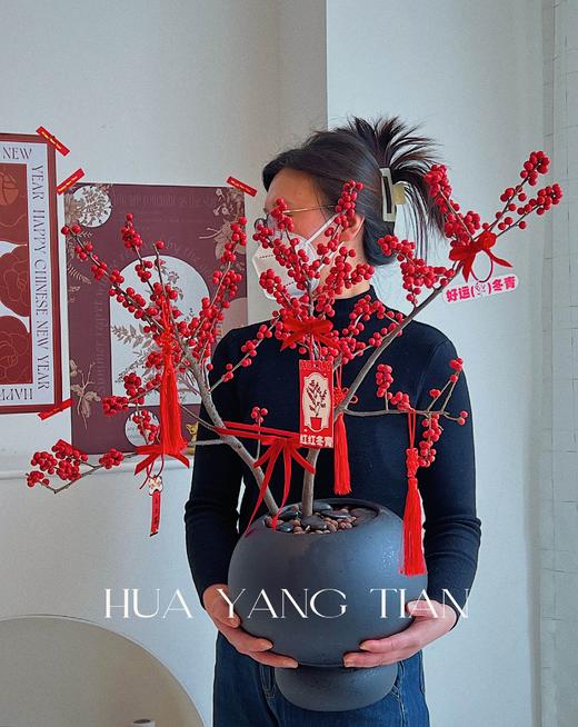 新年冬青盆栽（含花盆） 商品图7