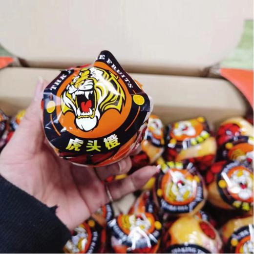 虎头橙一箱（拼团） 商品图3