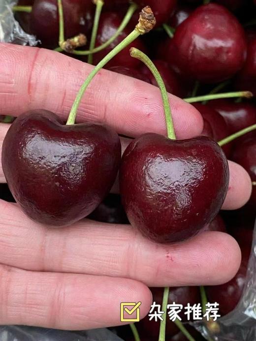 周四取货：【小红盒大G拉宾斯3J车厘子】一盒4斤左右，又脆又甜！ 商品图1