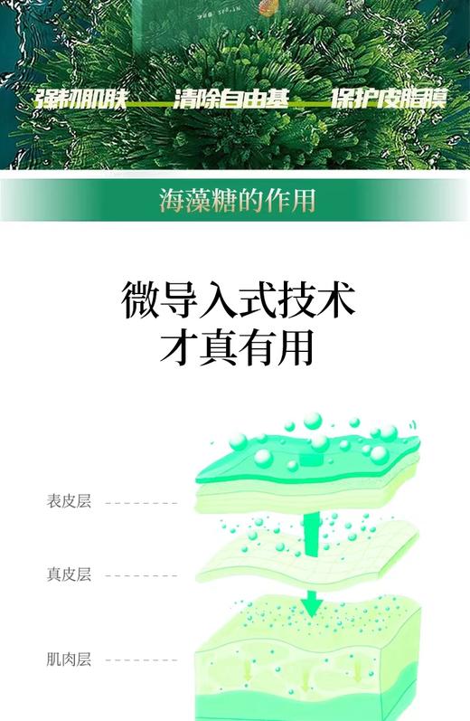 芮朵缤纷海藻糖补水面膜 商品图2