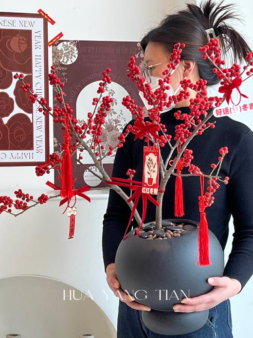 新年冬青盆栽（含花盆） 商品图4