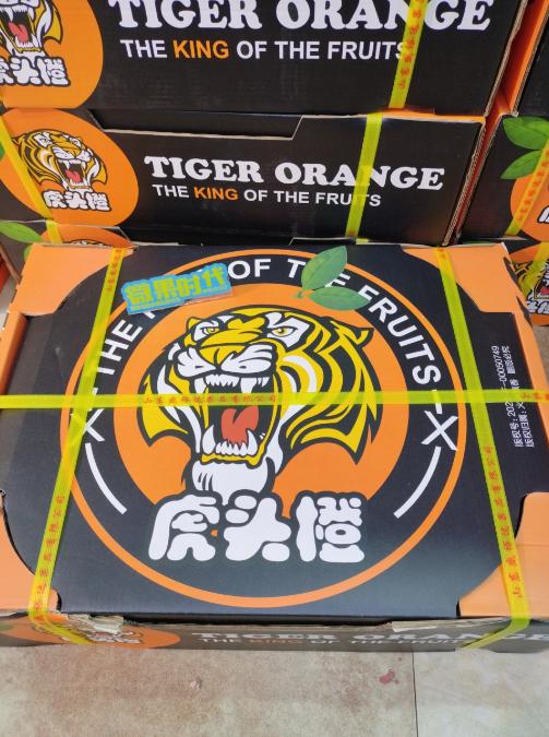 虎头橙一箱（拼团） 商品图1