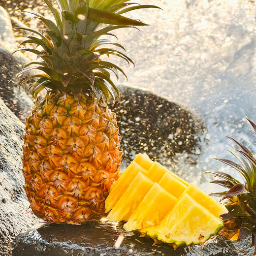 海南金钻凤梨🍍【树上自然熟】 商品图1