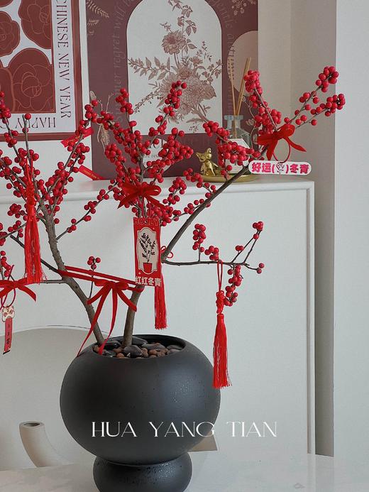 新年冬青盆栽（含花盆） 商品图6