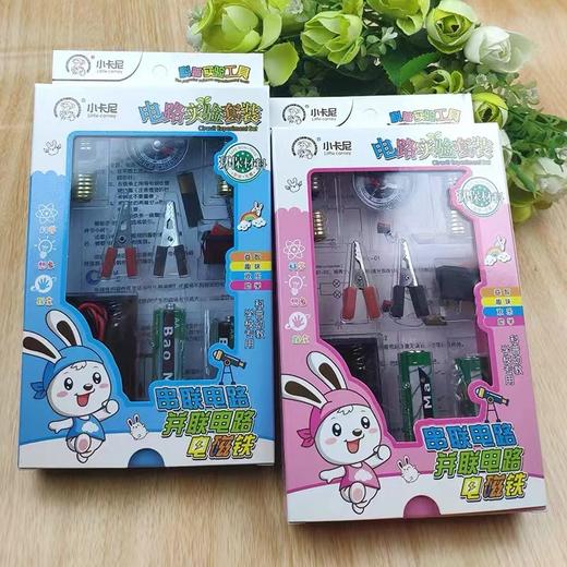 科学小实验物理电路套装简单小制作小学全套四六年级DIY灯泡器材 商品图4
