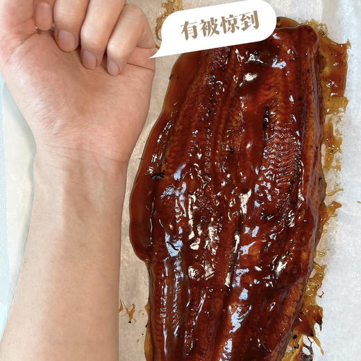 日式蒲烧鳗鱼 商品图0